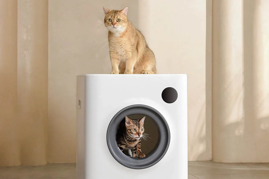 what is the best cat litter box