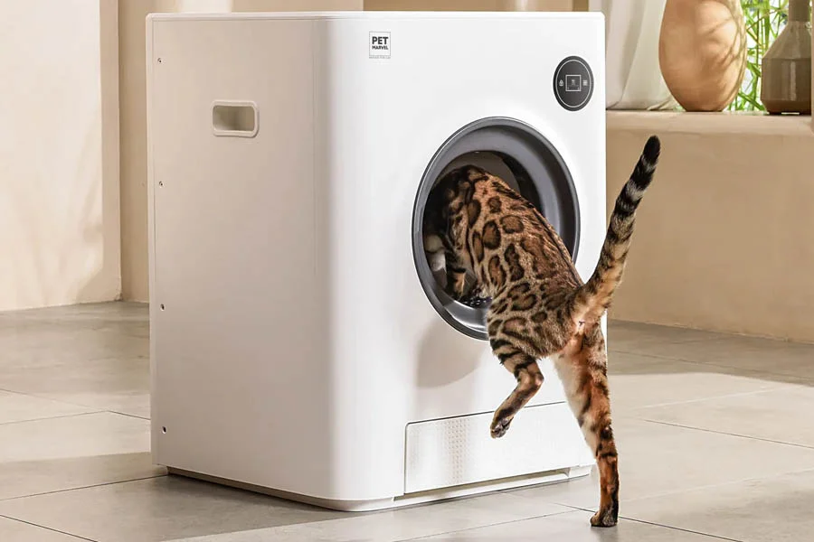 odorless cat box